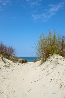 Dunes