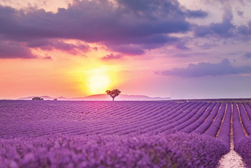 Provence