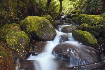 Cascade forêt tropicale