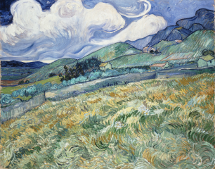 Vincent Van Gogh, Saint-Remy